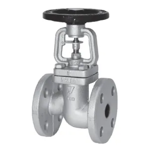 BSV-2EN_Вентиль